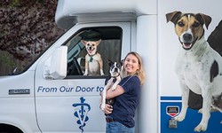 What Services Do Mobile Pet Vets Offer?