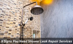 9 Signs You Need Shower Leak Repair Services