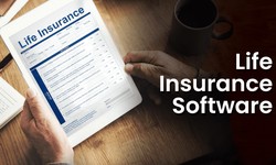 Life Insurance Software: Evolution And Importance
