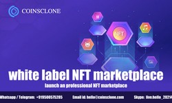 White Label NFT Marketplace- launch a professional NFT marketplace