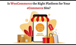 Is WooCommerce the Right Platform for Your eCommerce Site?