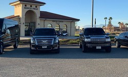 The Most Interesting Facts About Limos