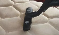 mattress cleaning adelaide