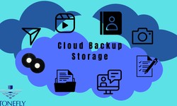 Trust in the Cloud Backup Storage: Personal Data Just Got Safer