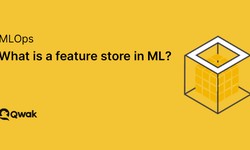 The Goals of a Feature Store – An Overview