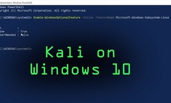 How to Transfer Files from Windows to Kali Linux