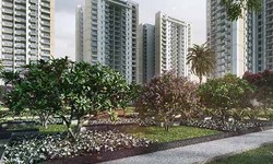 Godrej Sector 146 Noida-Project Blissful Living Experience