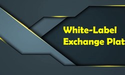 White-Label Exchange Platform (The benefits + The function)