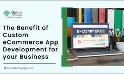 The Benefit of Custom eCommerce App Development for your Business