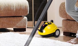 The Next 8 Things You Should Do For Carpet Cleaning Service Success