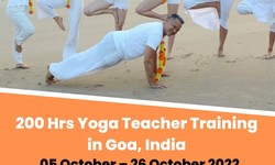200 Hours Yoga Teacher Training India