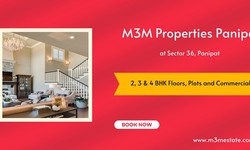 M3M Properties Panipat At Sector 36 Panipat - A Home That Makes The World Greener