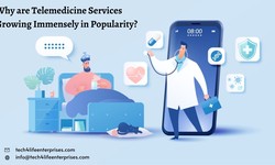 Why are Telemedicine Services Growing Immensely in Popularity?