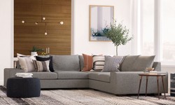 Things You Should Know Before Doing Couch Cleaning Sydney!