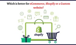 Which is better for eCommerce, Shopify or a Custom website?