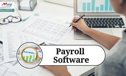 What is Payroll Software and how to use?