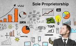 Sole Proprietorship: What It Is, Pros & Cons, Examples, Differences From an LLC