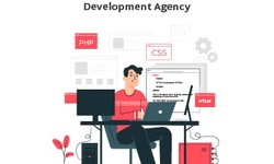 How To Start a WordPress Development Agency