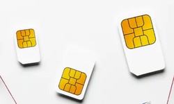 Inclusion Of Non-Telecom Companies To MVNO Business Models