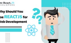 Why Should You Use React.JS for Web Development?