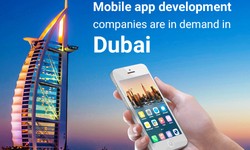 Why Mobile App Development Companies Are In Demand In Dubai?