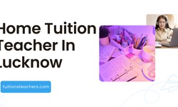 Why Home Tuition Teacher In Lucknow Succeeds
