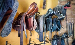Know About the best Canadian Tack Stores