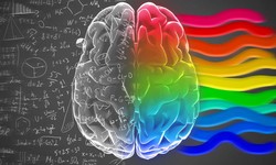 Can Psychedelics Affect Serotonin Receptors Present In Brain?