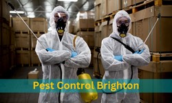 The Ultimate Pest Control Guide: How To Keep Unwanted Invaders Out Of Your Home