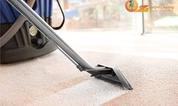 What are the Benefits of Hiring a Professional Carpet Cleaning Company For Your Home?