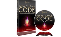 Wealth DNA Code Review