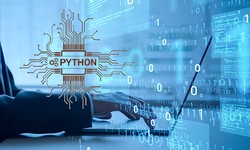 10 Tips to Hire the Best Python Developers For Your Business