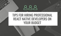 Tips for Hiring Professional React Native Developers on Your Budget