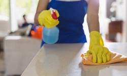 Look No Further! Looking for the Best Cleaners in Abbotsford?