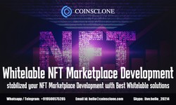 Whitelabel NFT Marketplace Development - stabilized your NFT Marketplace Development with the Best White Label solutions