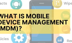 Everything You Need to Know About Mobile Device Management