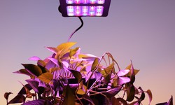 LED Grow Light: The Perfect Solution for Year-Round Planting