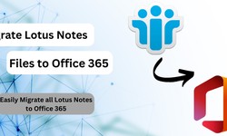 Migration From Lotus Notes to Office 365