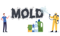 What Are the Risks of Black Mold in the Shower?