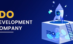 Get Comprehensive Initial Dex Offering Development Services to Launch the Best Launchpads in 2023