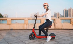 Features of Kugoo G2 Pro Electric Scooter