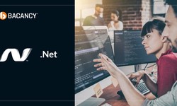 A 2023 Guide to hire .NET developers in India- For CEOs