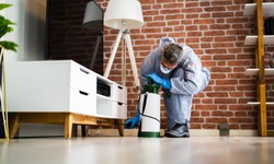 Affordable Pest Control Services in Tranmere Get Rid of The Bugs for Less