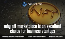 Why is the NFT marketplace an Excellent choice for Business startups??