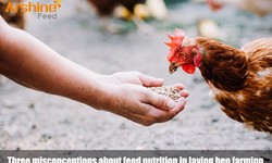 Three misconceptions about feed nutrition in laying hen farming