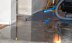 Why You Should Choose a Professional Water Damage Restoration Company