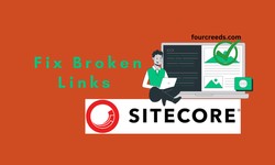 How broken links affect on your blog SEO?