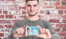 The Fake ID Website That Will Help You Get Into Anywhere-hotfakeid.com