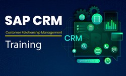 What is the work of an SAP CRM consultant?
