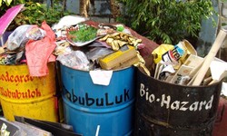 Reducing Your Household's Garbage Output: Simple Tips and Tricks